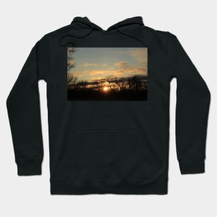 Kansas Golden Sky with tree silhouette's Hoodie